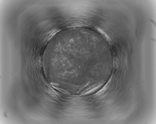 X0000094931353200712201043