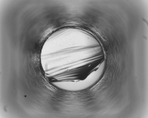 X0000094931355200712201043
