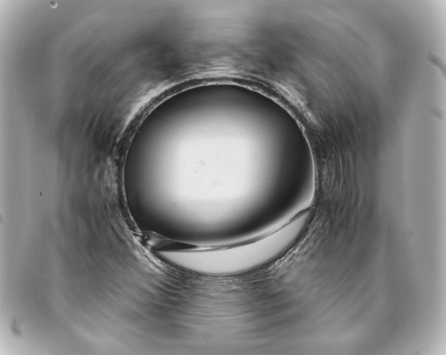 X0000094931356200712201043