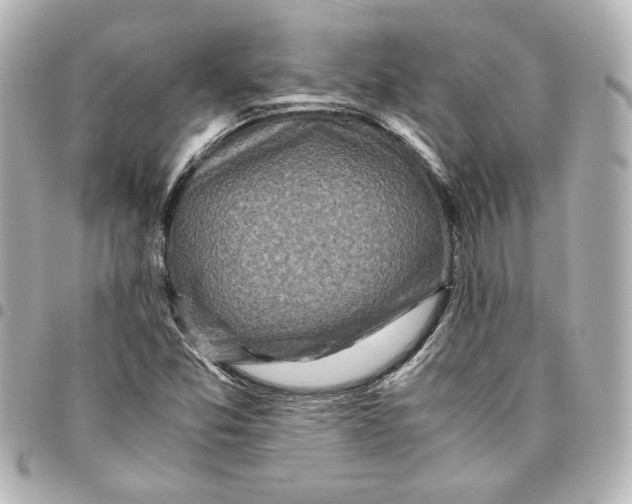 X0000094931357200712201043