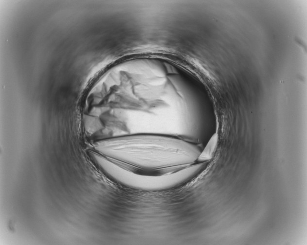 X0000094931358200712201043