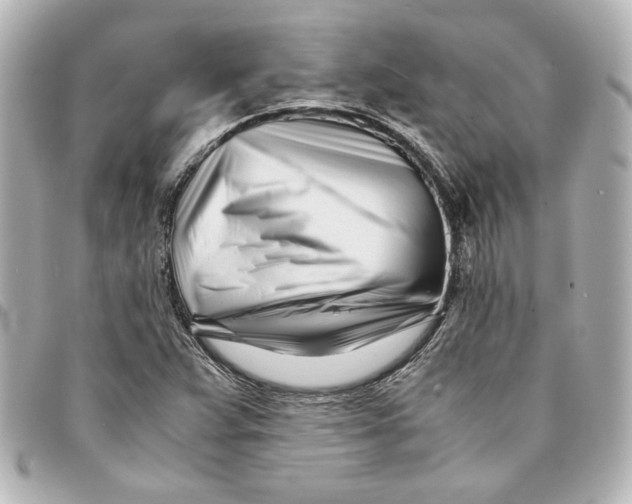 X0000094931359200712201043