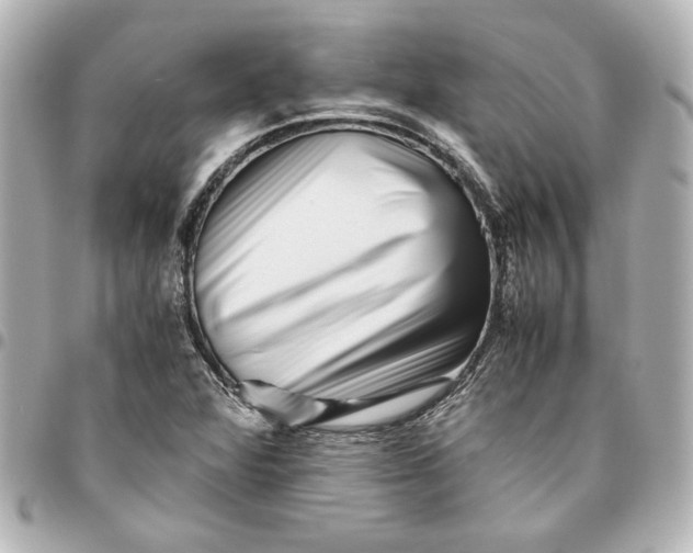 X0000094931360200712201043