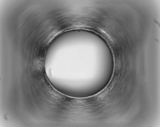 X0000094931361200712201043