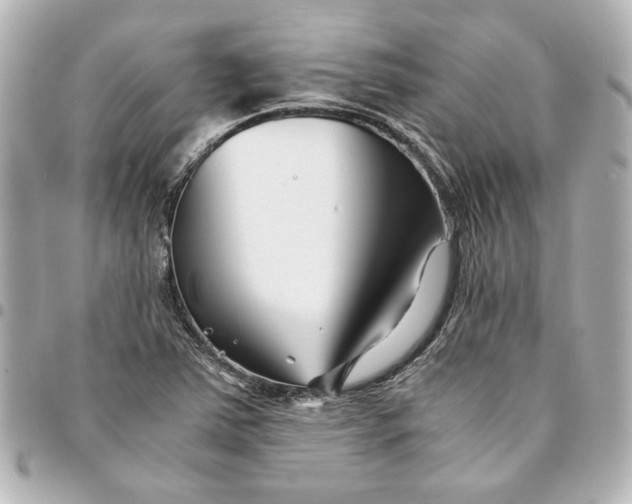 X0000094931363200712201043