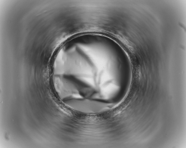 X0000094931364200712201043
