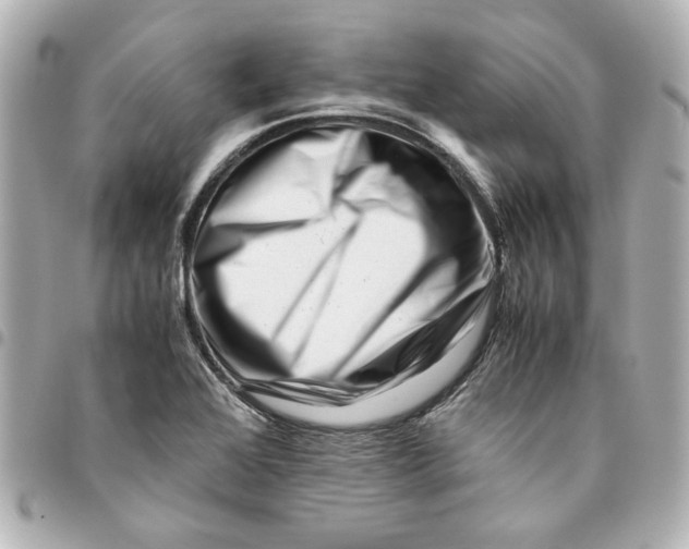 X0000094931368200712201043