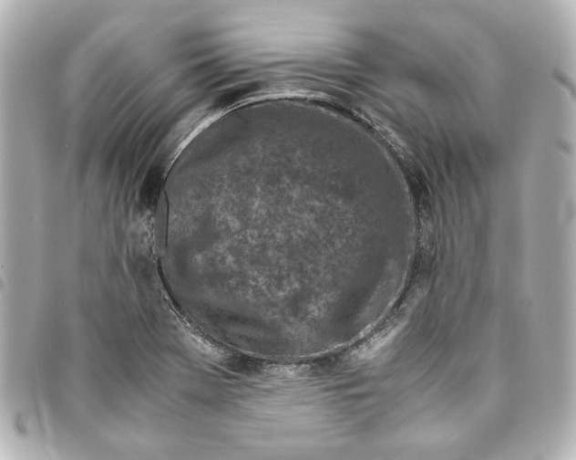 X0000094931369200712201043