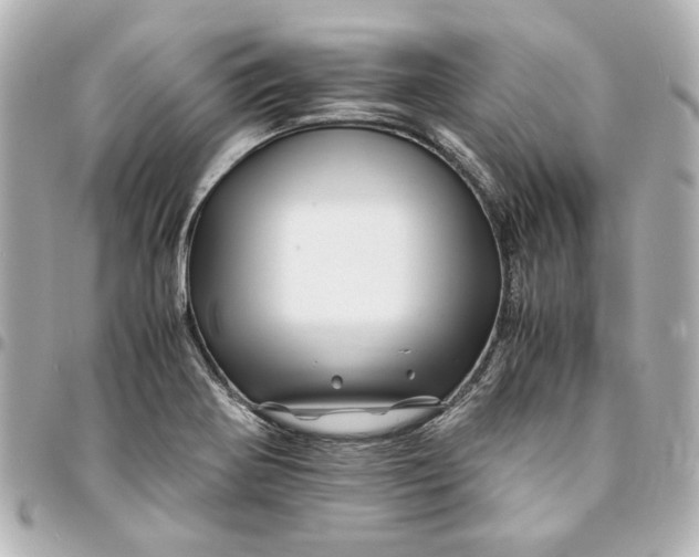 X0000094931370200712201043