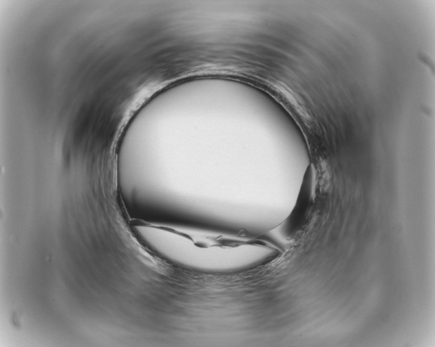 X0000094931371200712201043