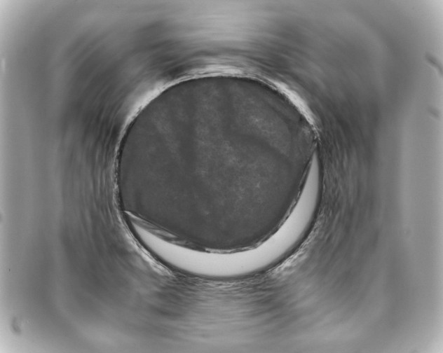 X0000094931373200712201043