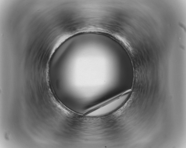 X0000094931374200712201043