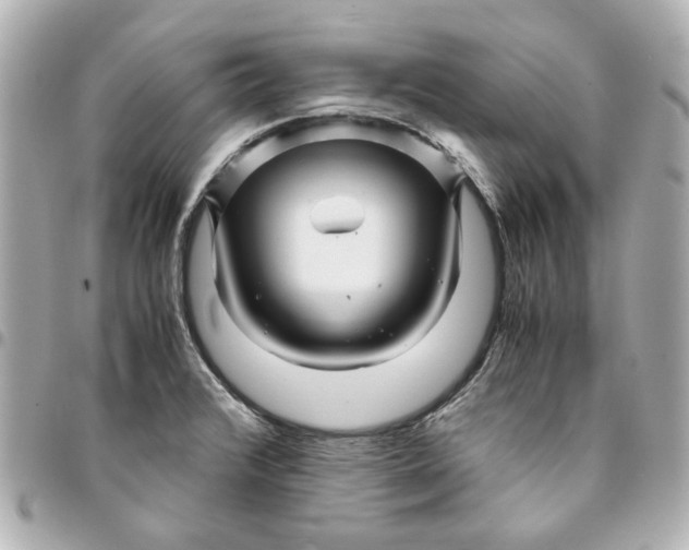 X0000094931376200712201043