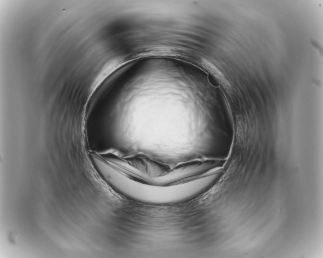 X0000094931378200712201043