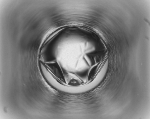 X0000094931379200712201043
