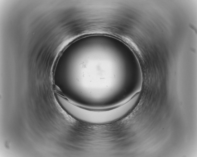 X0000094931380200712201043