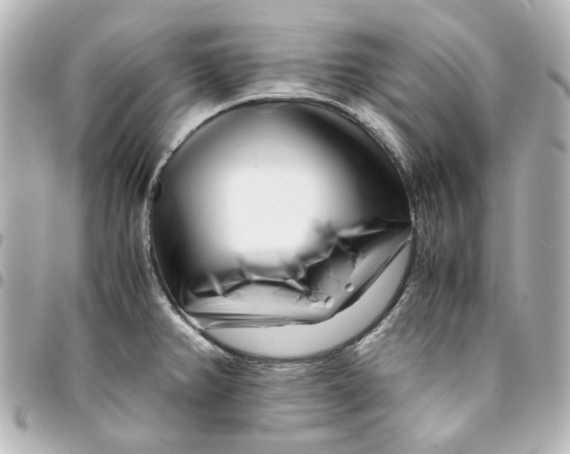 X0000094931382200712201043