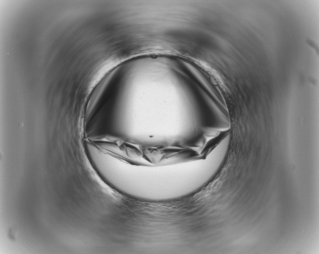 X0000094931383200712201043