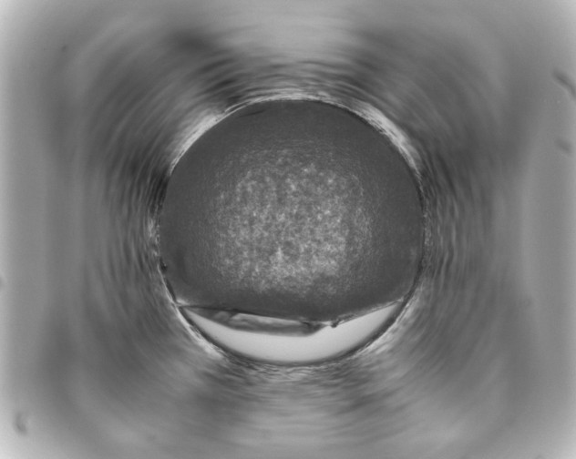 X0000094931385200712201043