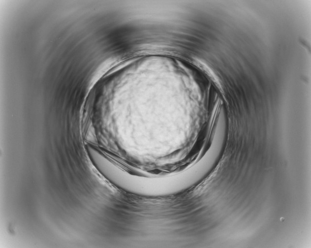 X0000094931386200712201043