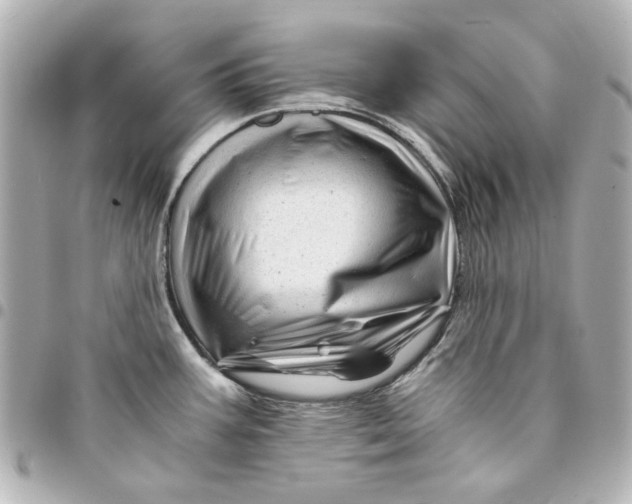 X0000094931387200712201043