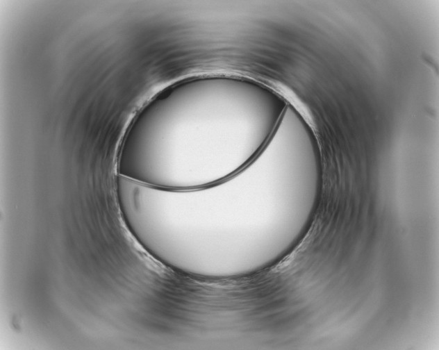 X0000094931388200712201043