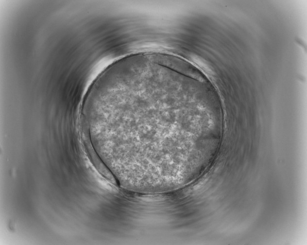 X0000094931392200712201043