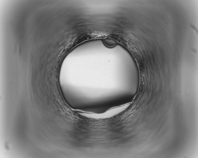 X0000094931393200712201042