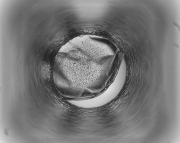 X0000094931394200712201042