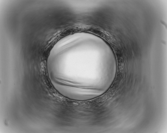 X0000094931397200712201042