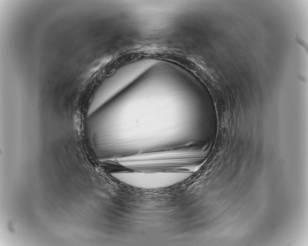 X0000094931398200712201042