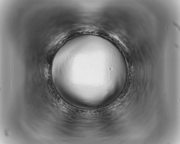 X0000094931399200712201042