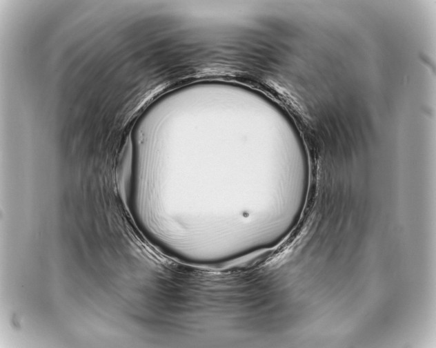 X0000094931401200712201042