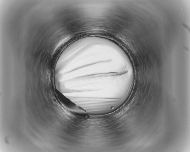 X0000094931402200712201042