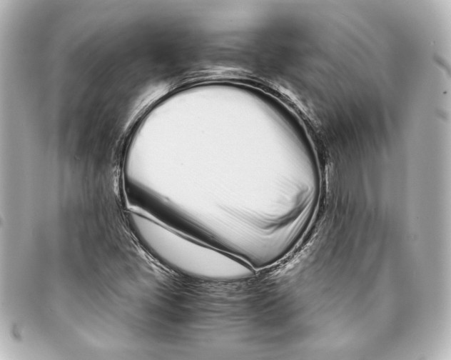 X0000094931405200712201042