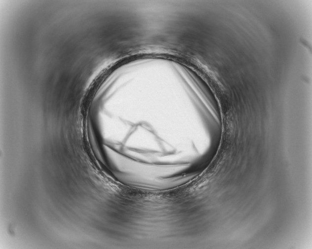 X0000094931408200712201042