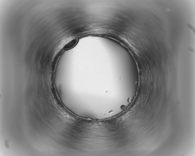 X0000094931410200712201042