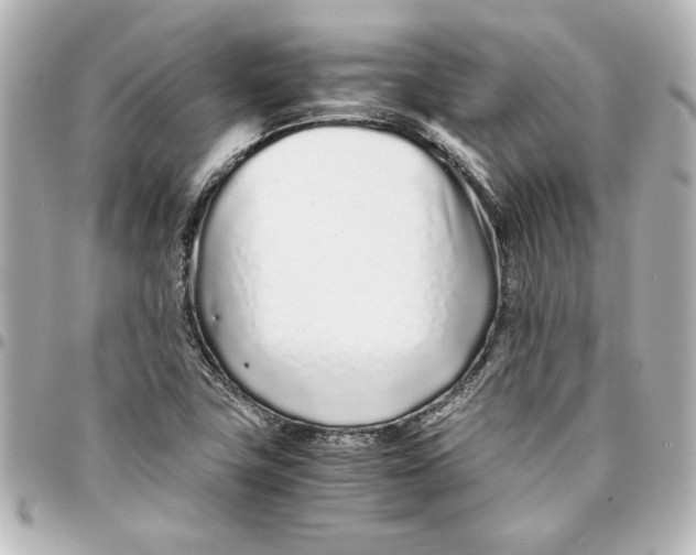 X0000094931411200712201042