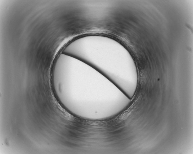 X0000094931412200712201042