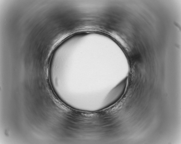 X0000094931413200712201042