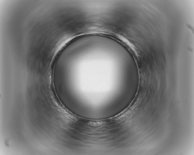 X0000094931415200712201042