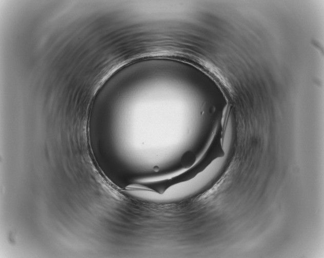 X0000094931417200712201042