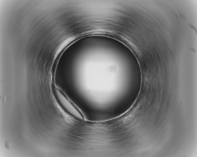 X0000094931418200712201042