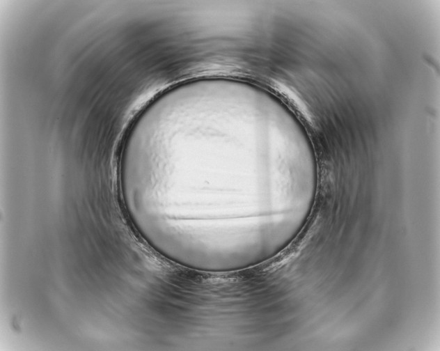 X0000094931419200712201042