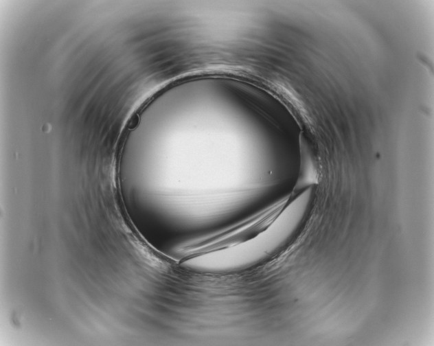 X0000094931420200712201042