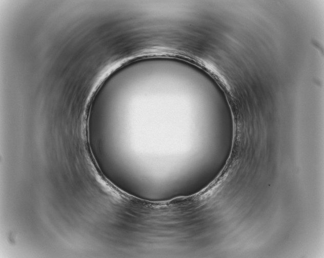 X0000094931421200712201042