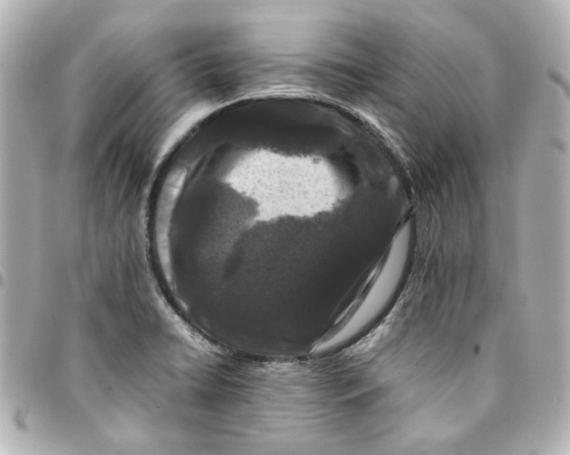 X0000094931422200712201042