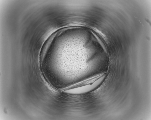 X0000094931423200712201042