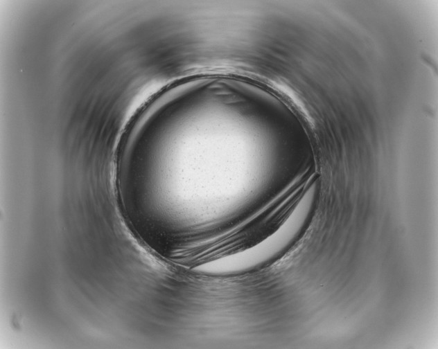 X0000094931424200712201042