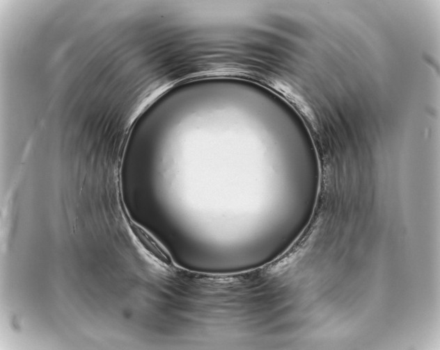 X0000094931425200712201042